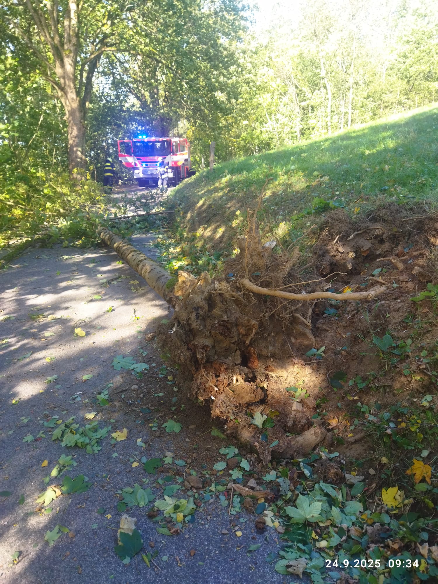 Františkov (1)