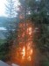 IMG-20250503-WA0002